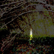 laser side view