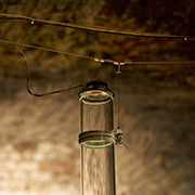 photo by Jef Byttebier